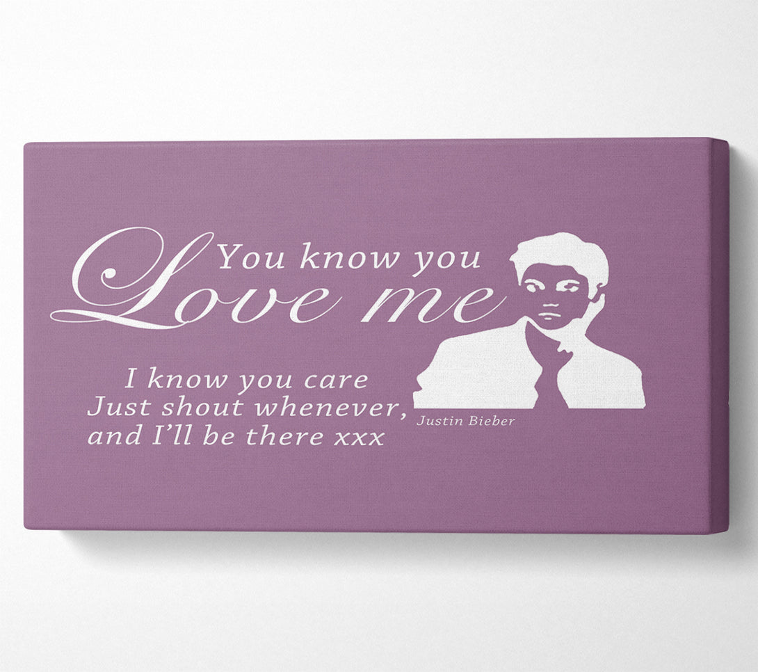  A Canvas Print of Music Quote You Know You Love Me Justin Bieber Dusty Pink Canvas Wall Art