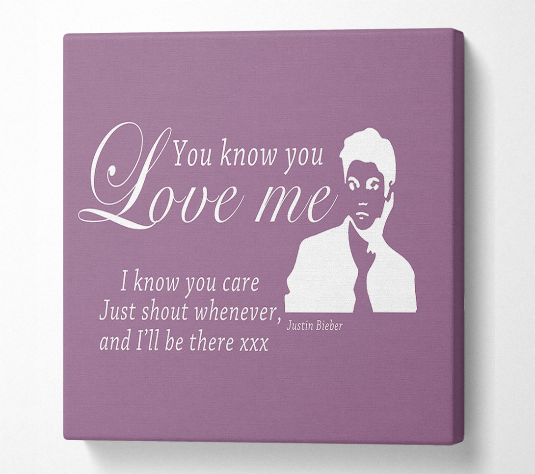  A Canvas Print of Music Quote You Know You Love Me Justin Bieber Dusty Pink Canvas Wall Art