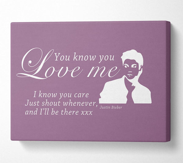  A Canvas Print of Music Quote You Know You Love Me Justin Bieber Dusty Pink Canvas Wall Art