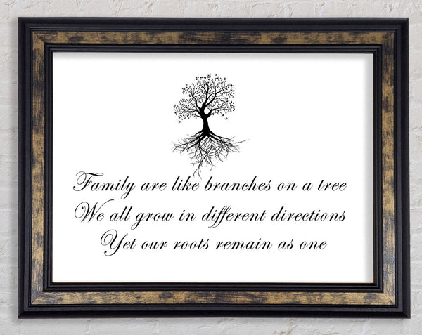 Family Quote Family Are Like Branches White Framed Print