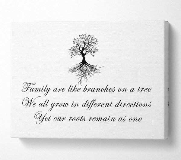  A Canvas Print of Family Quote Family Are Like Branches White Canvas Wall Art
