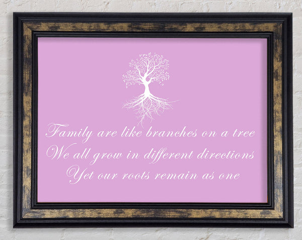 Family Quote Family Are Like Branches Pink Framed Print