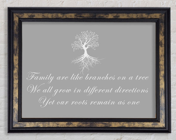 Family Quote Family Are Like Branches Grey White Framed Print