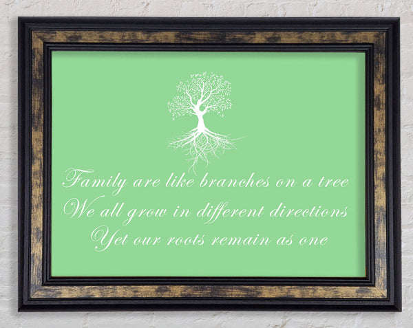 Family Quote Family Are Like Branches Green Framed Print
