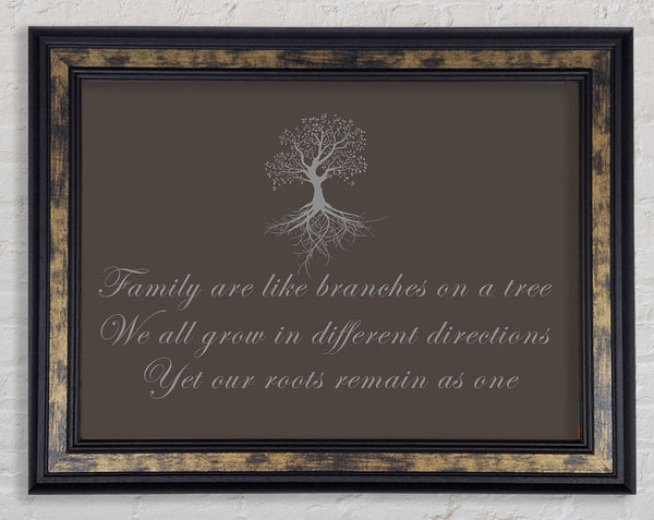Family Quote Family Are Like Branches Chocolate Framed Print