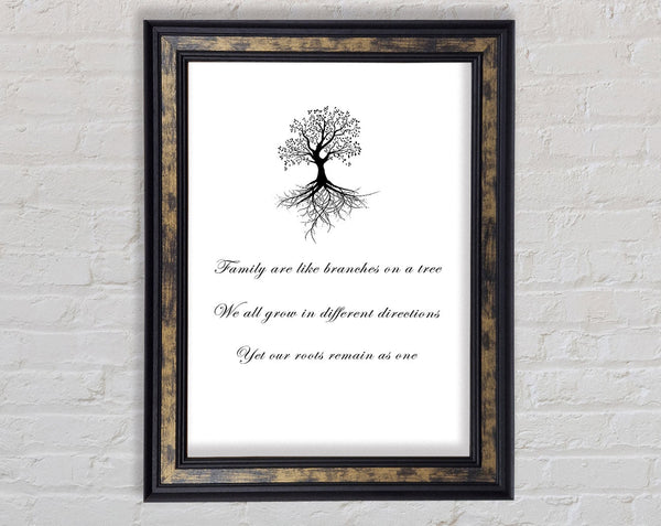 Family Quote Family Are Like Branches 2 White Framed Print
