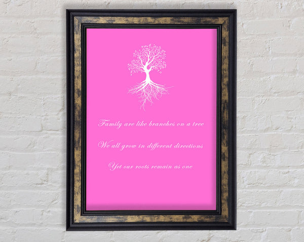 Family Quote Family Are Like Branches 2 Vivid Pink Framed Print