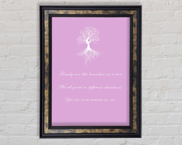 Family Quote Family Are Like Branches 2 Pink Framed Print