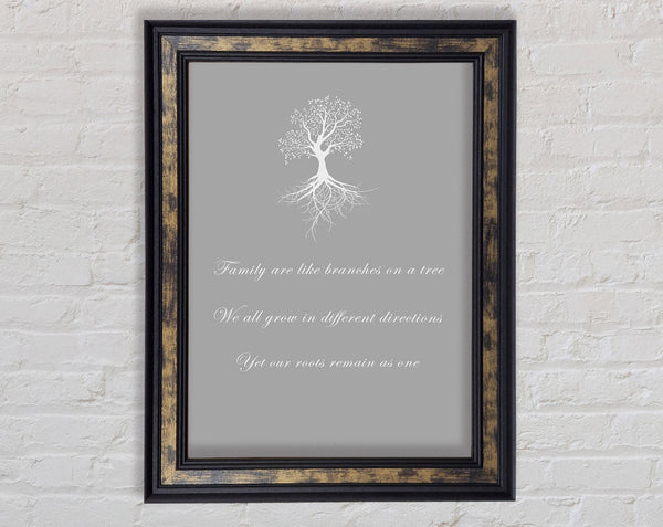 Family Quote Family Are Like Branches 2 Grey White Framed Print