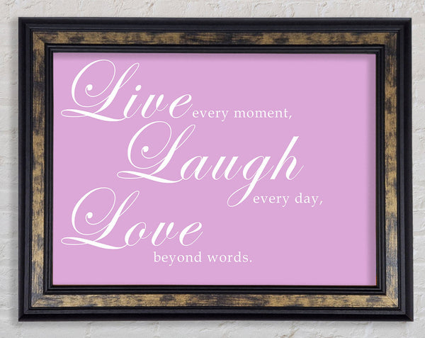 Love Quote Live Laugh Love 2 Pink Framed Print