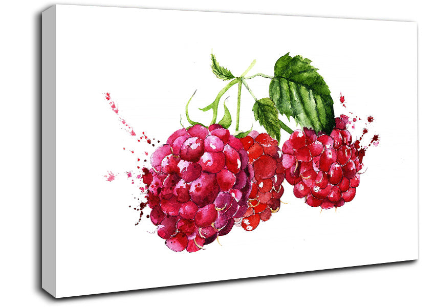 Raspberry Trio Canvas Wall Art