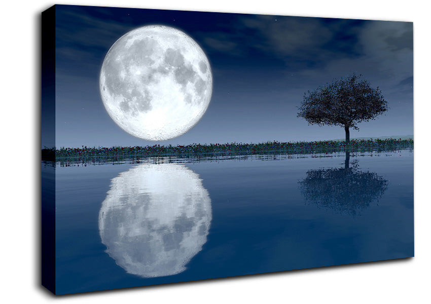 Moon Reflection Canvas Wall Art