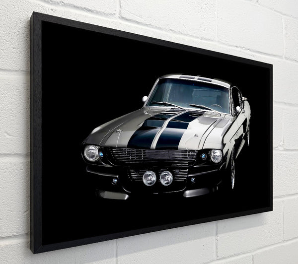 Mustang Stripes