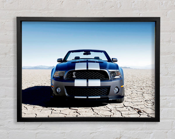 Mustang Shelby Frontprofil