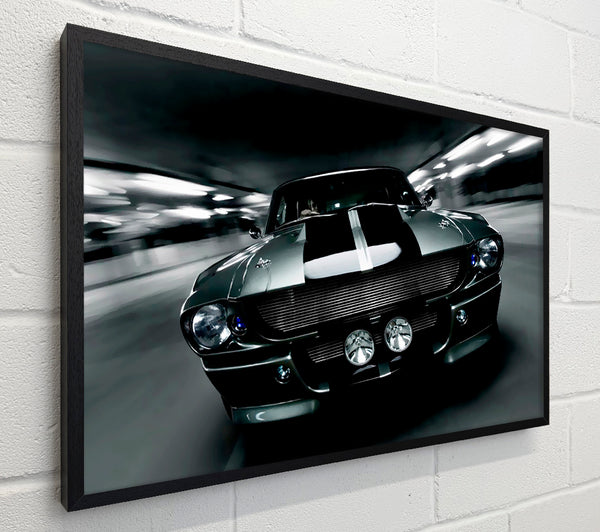 Mustang Elanor