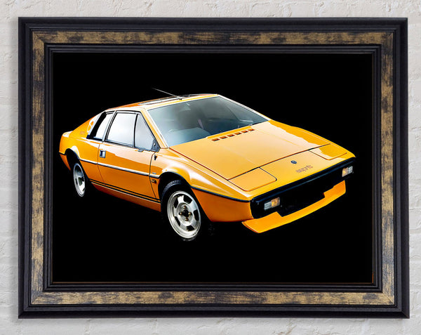 Classic Lotus Esrite Framed Print