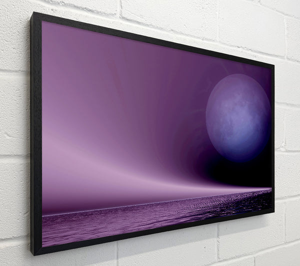 Lavender Moon