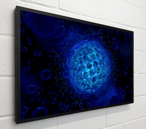 Ocean Planet