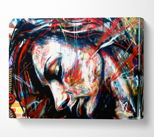 Red Woman Canvas Print