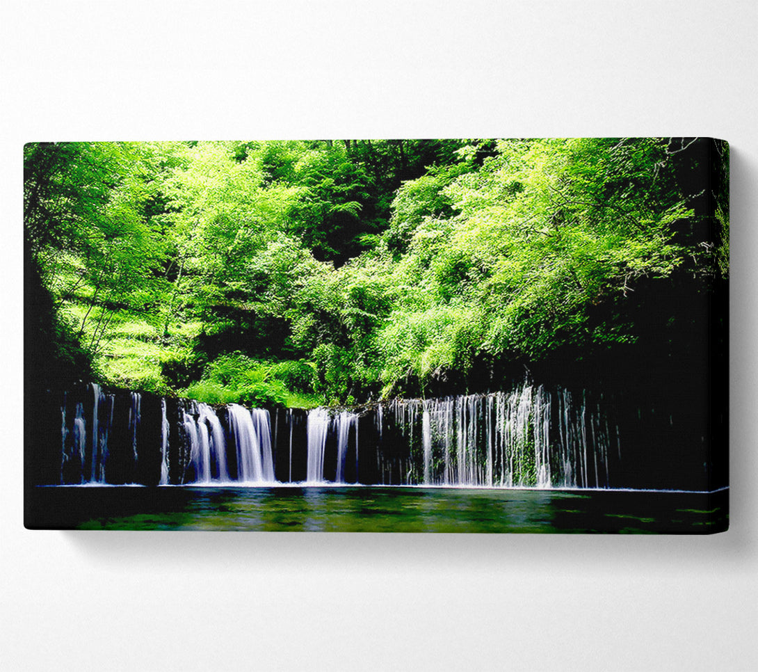  A Canvas Print of Rain Forest Canvas Wall Art