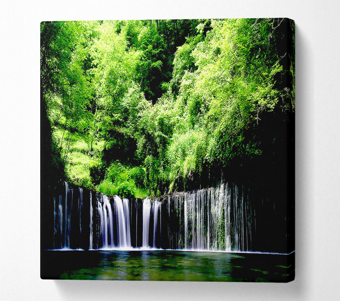  A Canvas Print of Rain Forest Canvas Wall Art