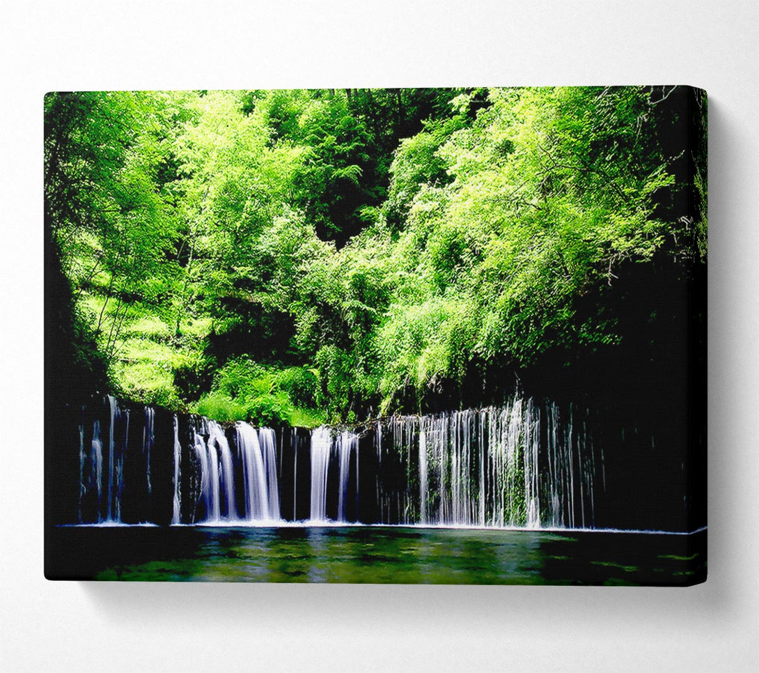  A Canvas Print of Rain Forest Canvas Wall Art