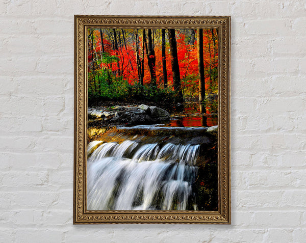 Herbst Wasserfall Wald
