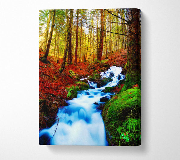  A Canvas Print of The Autumn Woodland Stream Canvas Print