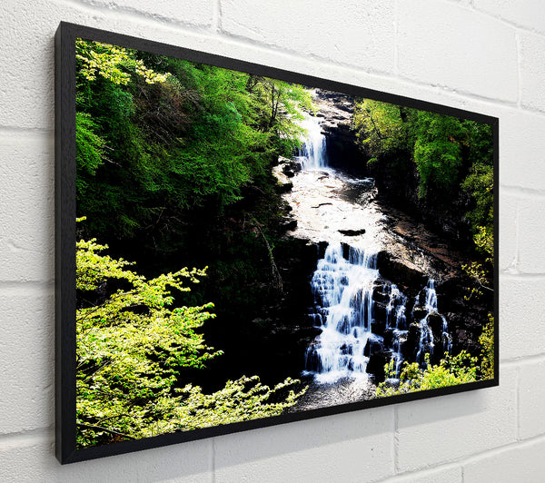 Forest Waterfall Gush