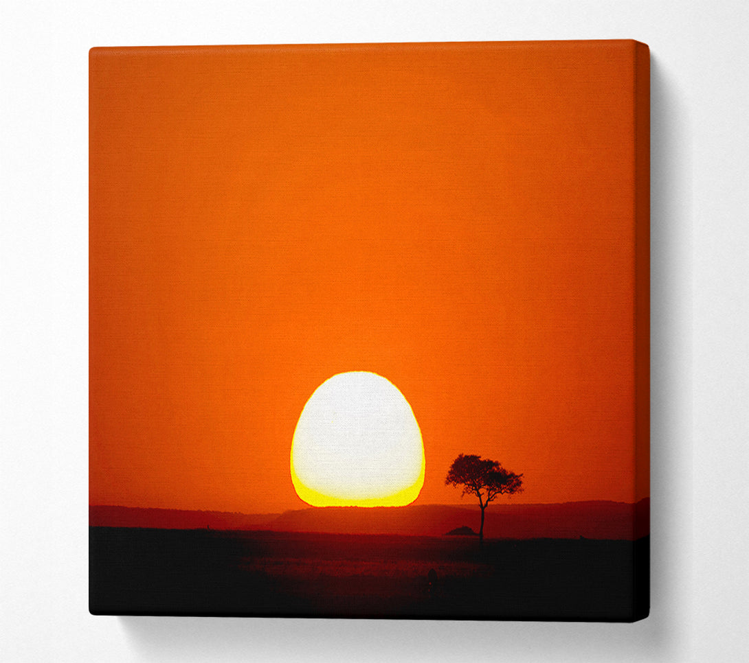  A Canvas Print of African Sunrise Canvas Print
