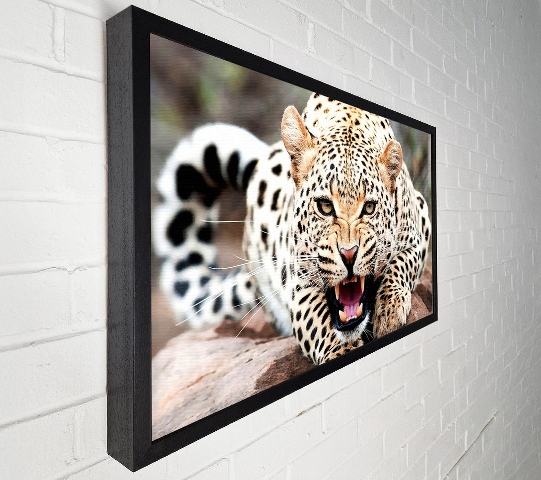  A Canvas Print of Amazing Cheetah Canvas Art