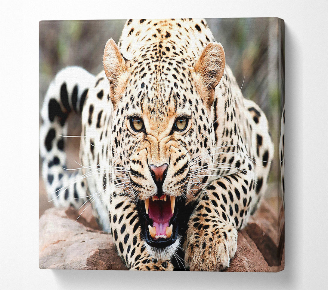  A Canvas Print of Amazing Cheetah Canvas Art