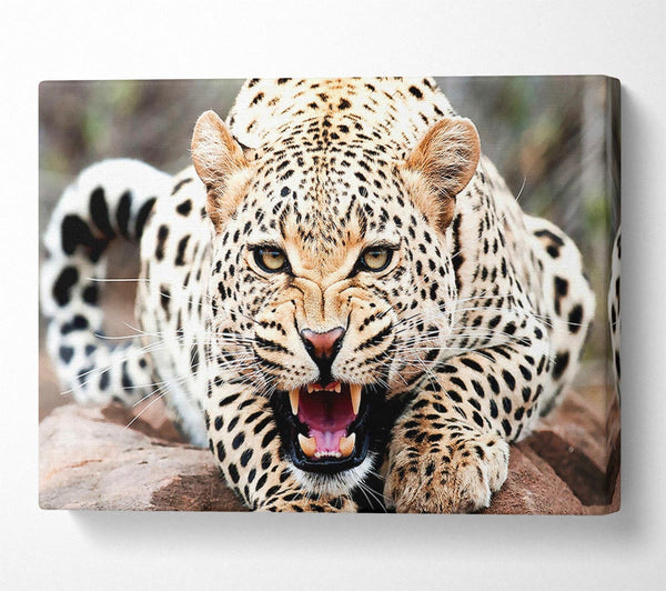  A Canvas Print of Amazing Cheetah Canvas Art