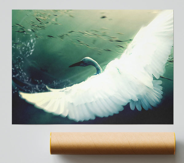 Another Perspective Poster