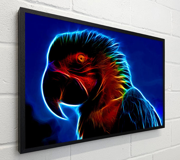 Rainbow Parrot
