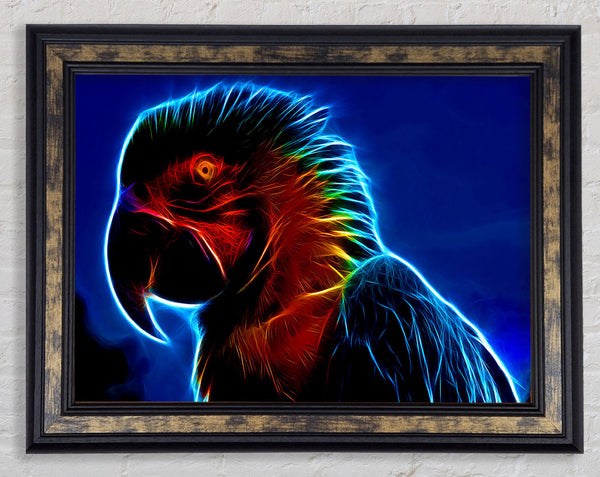 Rainbow Parrot Framed Print