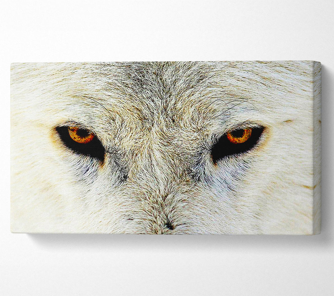 A Canvas Print of Arctic Wolf Eyes Canvas Print