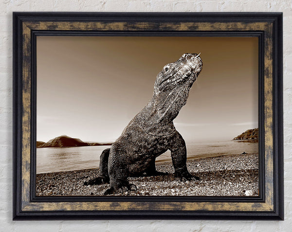 Beach Komodo Dragon Framed Print
