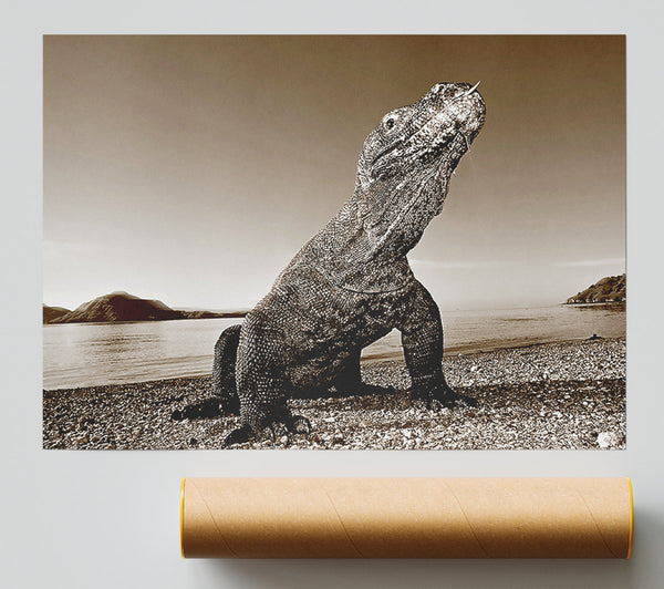 Beach Komodo Dragon Giclee Print