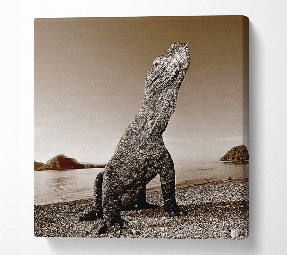  A Canvas Print of Beach Komodo Dragon Canvas Art