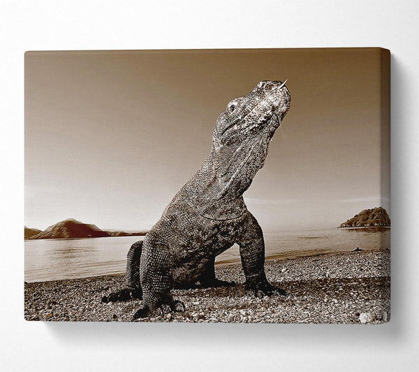  A Canvas Print of Beach Komodo Dragon Canvas Art
