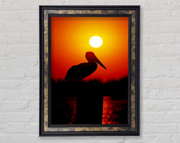 Bird At Sunset Framed Print