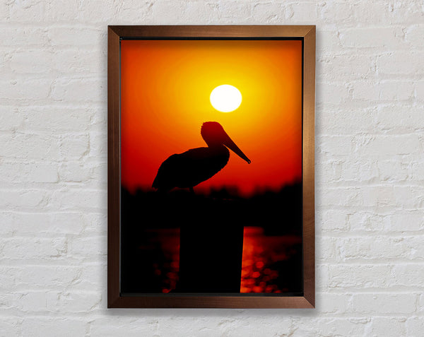 Vogel bei Sonnenuntergang