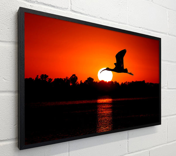 Bird Flying At Sunset