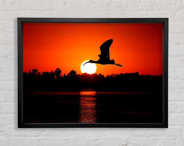 Vogel fliegt bei Sonnenuntergang