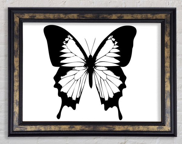 Black And White Butterfly Wings Framed Print