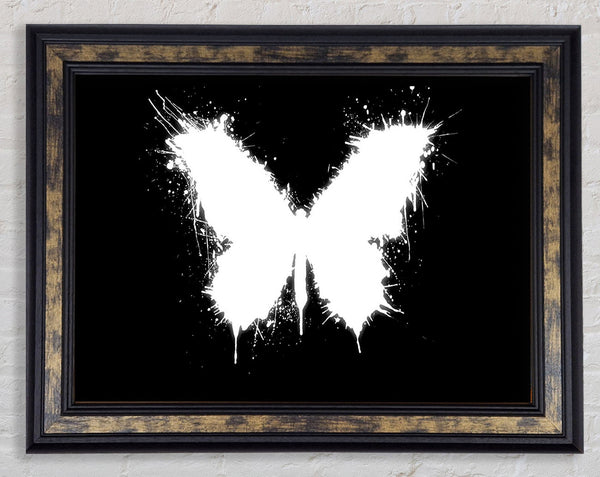 Black And White Butterfly Framed Print