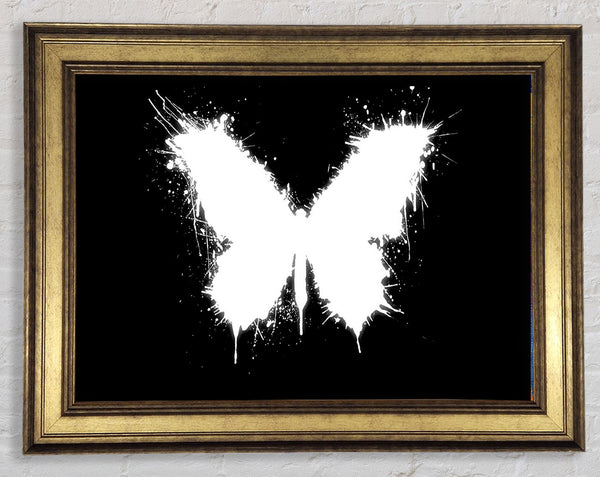 Schwarz-weißer Schmetterling