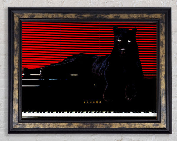 Black Panther Piano Framed Print