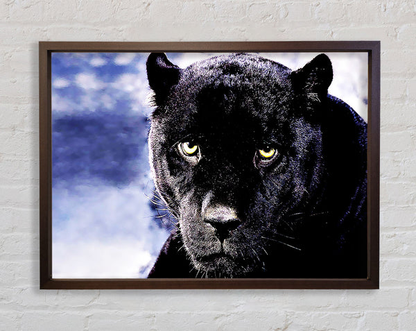 Schwarzer Panther
